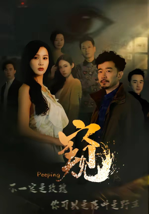 窥伺（37集）最后的大结局