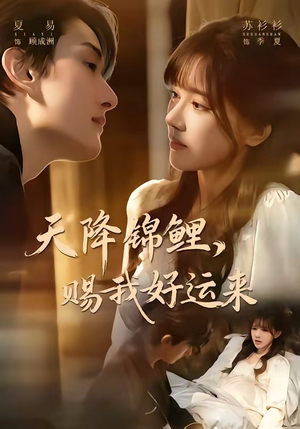 天降锦鲤，赐我好运来（60集）精彩短剧片段