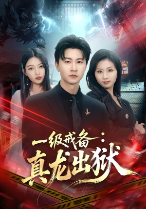 一级戒备：真龙出狱（73集）短剧追不停