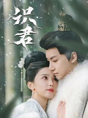 识君（59集）精彩短剧下载