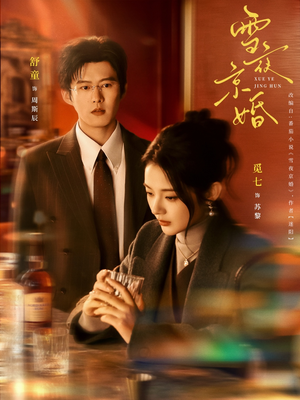 雪夜京婚（84集）短剧全集大结局