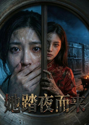 她踏夜而来（40集）追风的女孩短剧