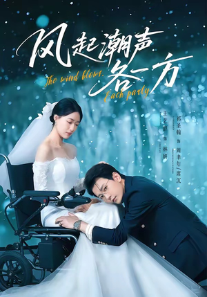 风起潮声各一方（84集）独家资源免费看
