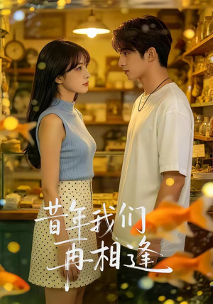 昔年我们再相逢（40集）追短剧看全集