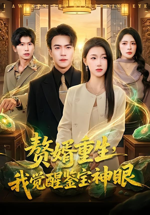 赘婿重生，我觉醒鉴宝神眼（80集）王网盘在线观看