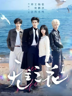 无主之花1（72集）热播短剧排行榜