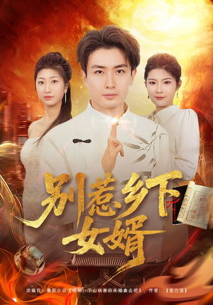 别惹乡下女婿（80集）最后的大结局