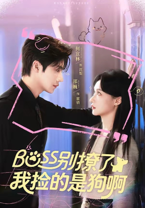 Boss别撩了，我捡的是狗呀（65集）这部短剧太好看