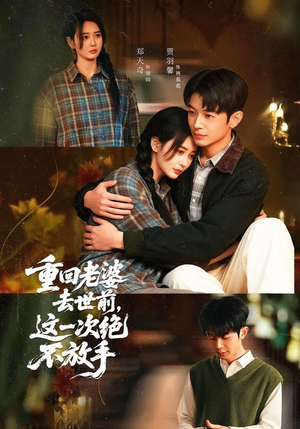 重回老婆去世前，这一次绝不放手（80集）在线观看