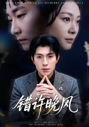 错许晚风（60集）短剧上热门