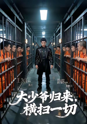大少爷归来，横扫一切（80集）热门了短剧