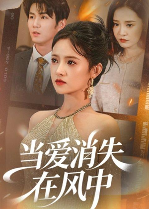 当爱消失在风中（73集）独家短剧免费看