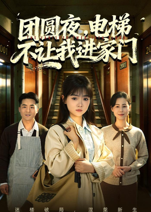 团圆夜，电梯不让我进家门（52集）百度网盘资源