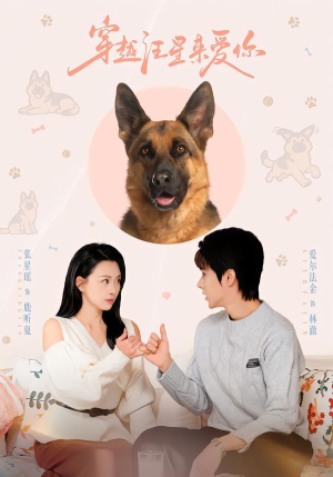穿越汪星来爱你(62集) 穿越汪星来爱你(62集)独家短剧免费看