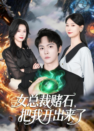 女总裁赌石，把我开出来了（76集）在哪看免费