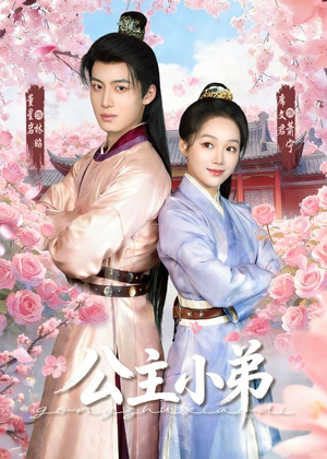 公主小弟（74集）熬夜追短剧