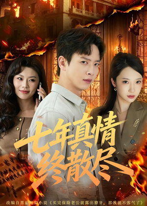 七年真情终散尽（60集）免费观看