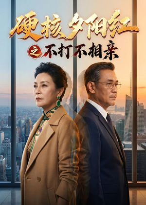硬核夕阳红之不打不相亲（30集）爱短剧爱追剧