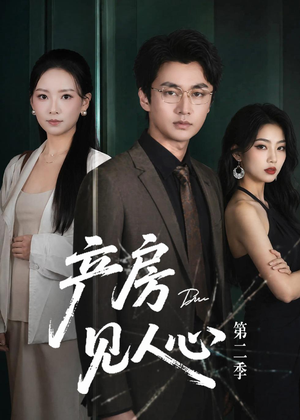 产房见人心第二季（75集）在哪看