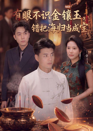有眼不识金镶玉错把海归当成宝（80集）免费看短剧全集