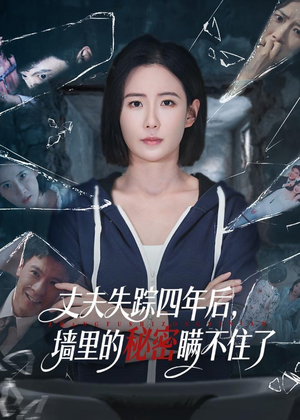 丈夫失踪四年后，墙里的秘密瞒不住了（60集）热播短剧重燃