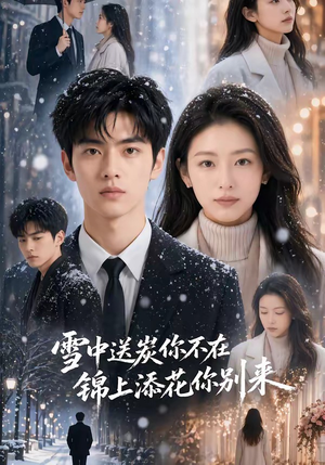 雪中送炭你不在，锦上添花你别来（60集）免费观看全集