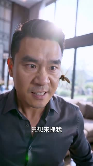 重生蚊皇步步为凰（65集）在哪看免费