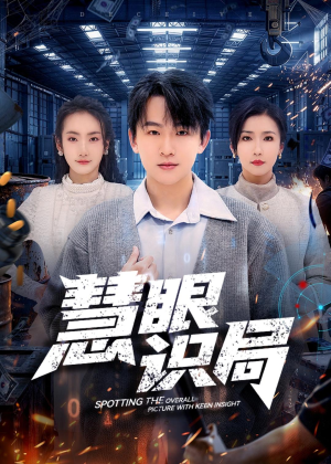 慧眼识局（72集）热门火爆短剧
