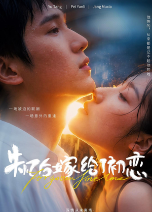 失忆后嫁给了初恋（10集）好看又上头短剧