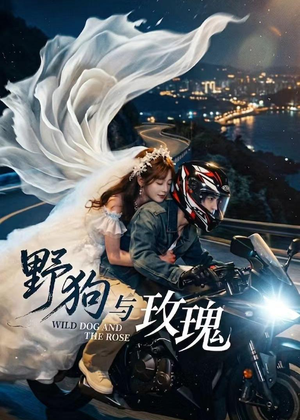 野狗与玫瑰(30集) 野狗与玫瑰(30集)全集在线看