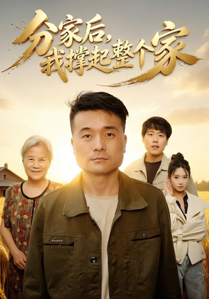 分家后我撑起整个家（61集）精彩短剧下载