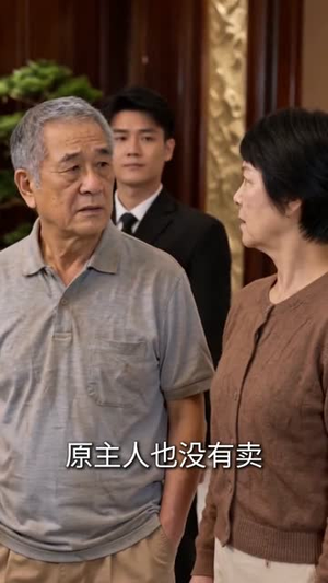 失联二十五年，回归竟成全球巨富（70集）我全都看完了
