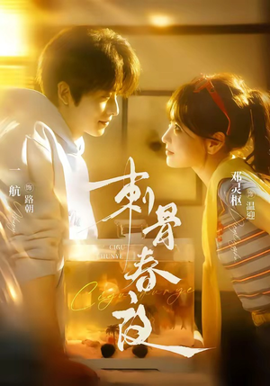 刺骨春夜（85集）免费版