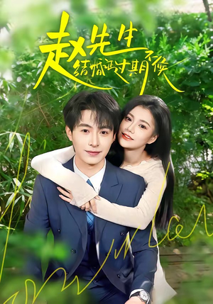 赵先生结婚证过期不候（50集）360网盘观看
