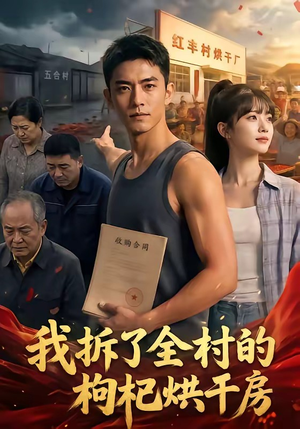 我拆了全村的枸杞烘干房（40集）在线观看全集