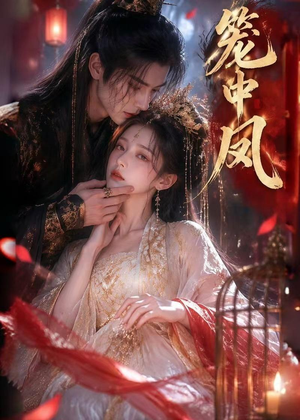 笼中凤（44集）夸克在线观看