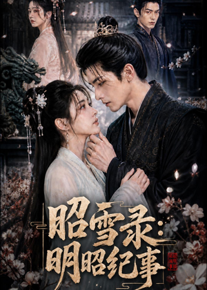 昭雪录：明昭纪事（20集）热播短剧分享