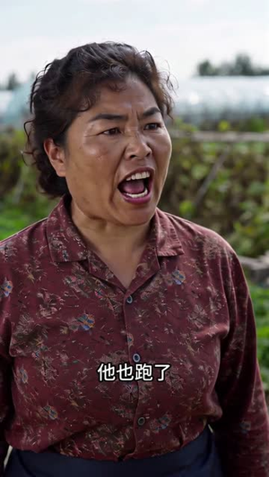 都市收菜女王(40集) 都市收菜女王(40集)经典回顾免费看