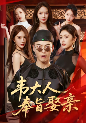 韦大人奉旨娶亲（81集）热门短剧大全