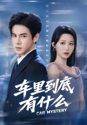 车里到底有什么(51集) 车里到底有什么(51集)免费观看