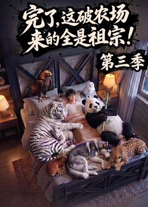 完了，这破农场来的全是祖宗！第三季（100集）短剧每日分享