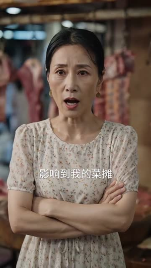 天上掉下来个林先生(50集) 天上掉下来个林先生(50集)解说文案