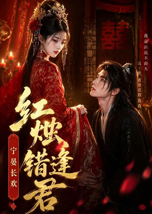 红烛错逢君，宁宴长欢（51集）最新上映免费看