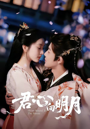 君心向明月（60集）在哪看免费