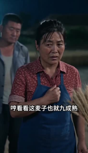 预知暴雨抢收麦子,不听我的后悔了吧(42集) 预知暴雨抢收麦子,不听我的后悔了吧(42集)在线免费观影