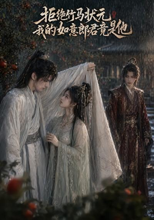 拒绝竹马状元，我的如意郎君竟是他（67集）精彩短剧天天看