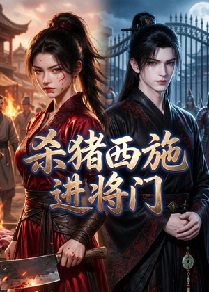 杀猪西施进将门（60集）无需充值尽情看