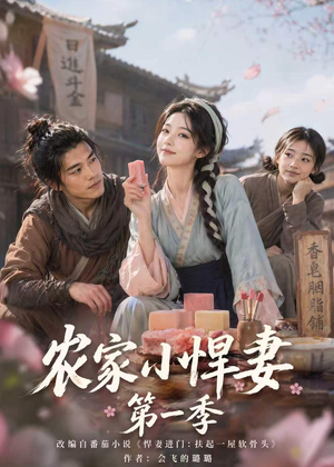 农家小悍妻第一季（70集）短剧在线看