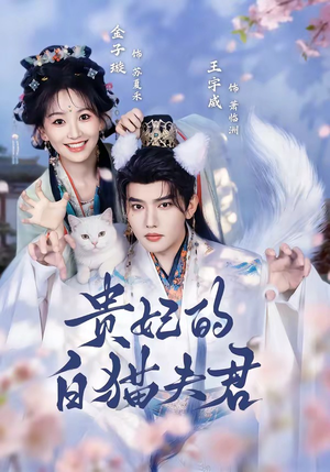 贵妃的白猫夫君(81集) 贵妃的白猫夫君(81集)精彩短剧推荐