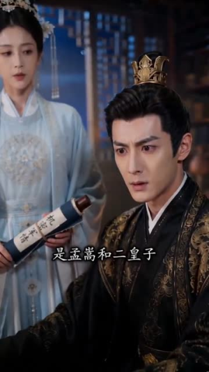 王妃披甲平天下(74集) 王妃披甲平天下(74集)真的太好看了